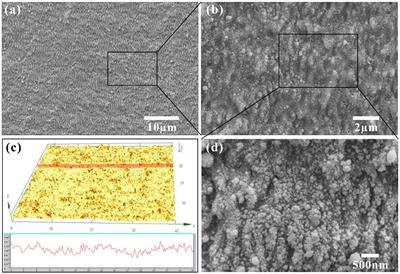 Endowing Metal Surfaces With Underwater Superoleophobicity by Femtosecond Laser Processing for Oil-Water Separation Application